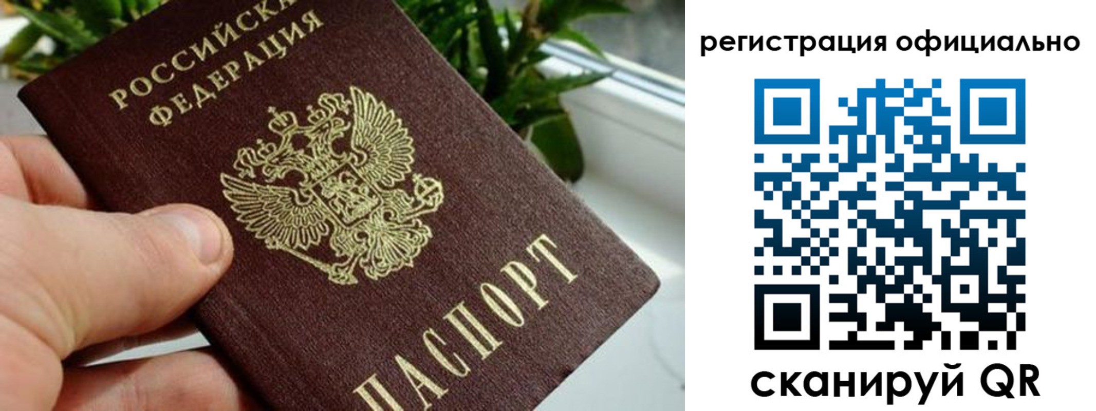 прописка законно в Алексине